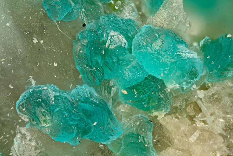 7335-turquoise.jpg