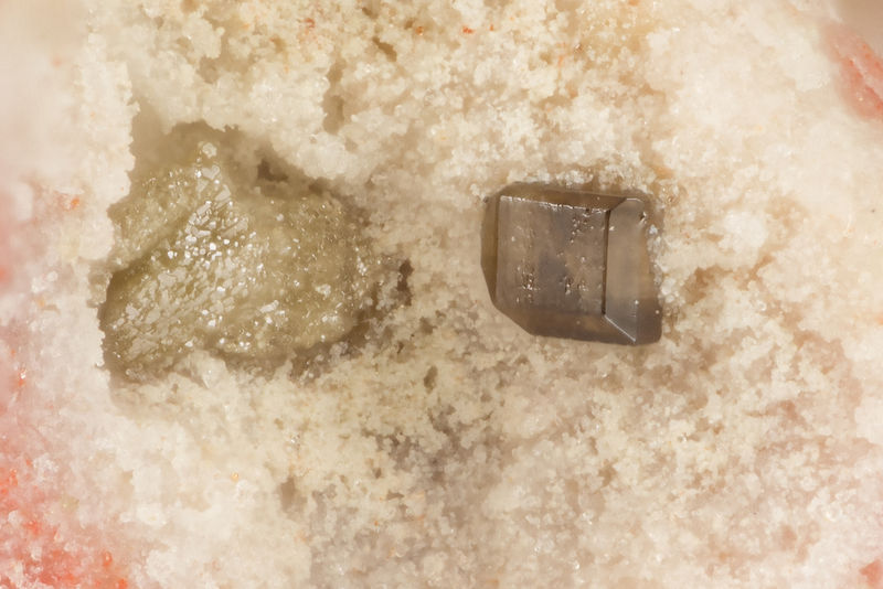 7352 corderoite.jpg