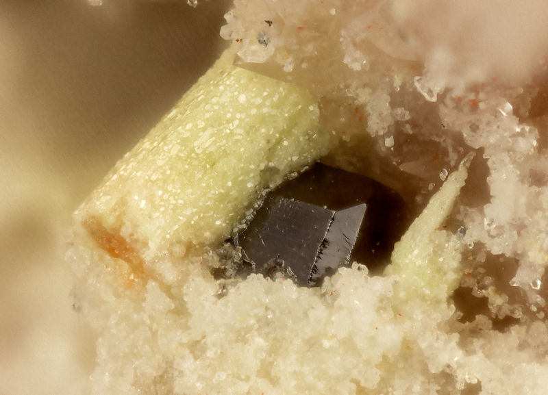 7364 corderoite.jpg