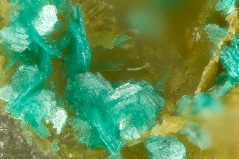 7382 chalcophyllite.jpg