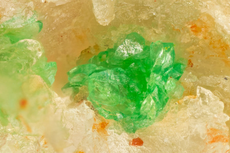 7391 tsumebite.jpg