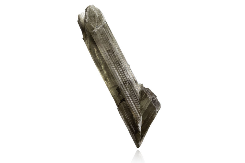 741.jpg