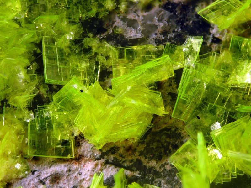 7 Autunite. FOV 1.2 cm.jpg