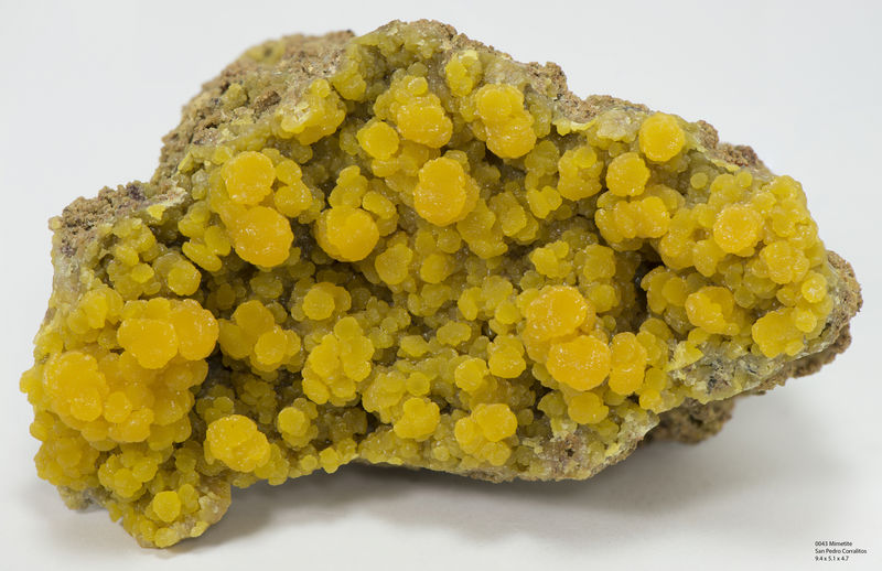 7B39-160 0043 Mimetite San Pedro Corralitos.jpg