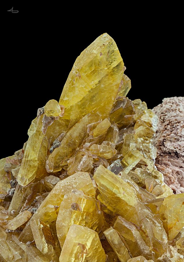 961-Bariet-Grube-Clara-Oberwolfach-Schwarzwald-close-up.jpeg