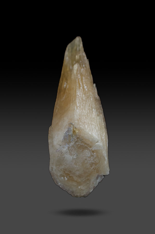 _Unicorn Horn_ Calcite-3.jpg