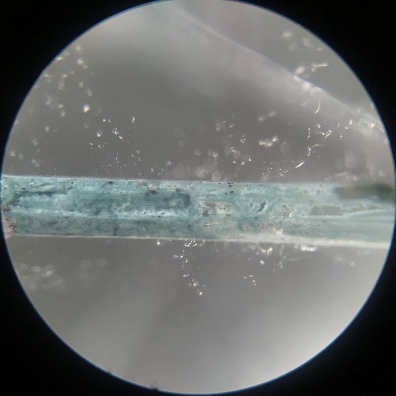 Anhydrite 3.JPG