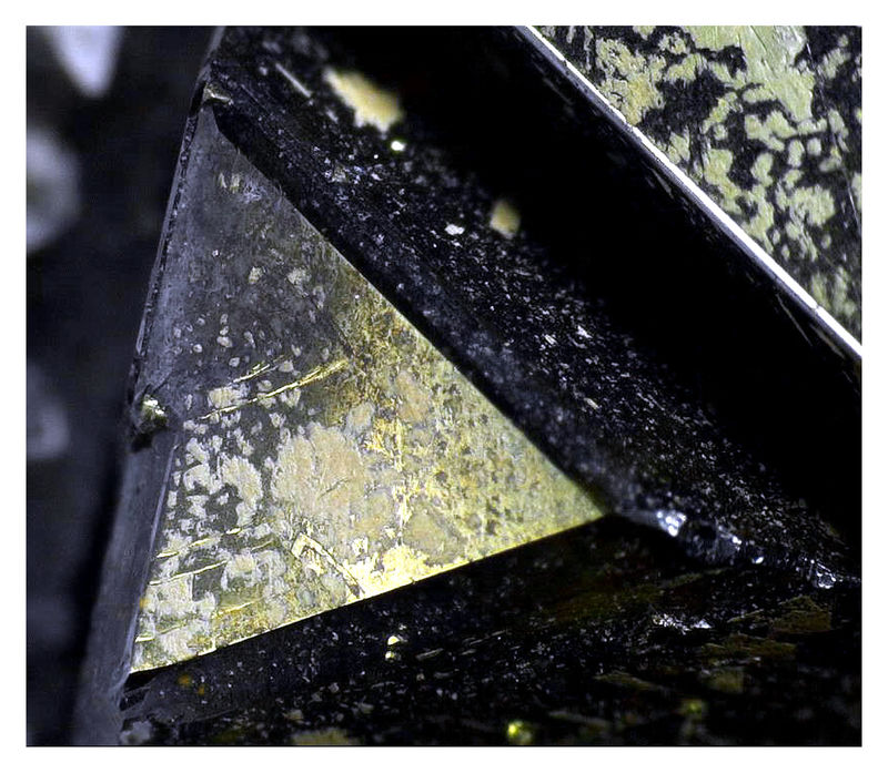 Animon Sphalerite Under the Scope 2.JPG