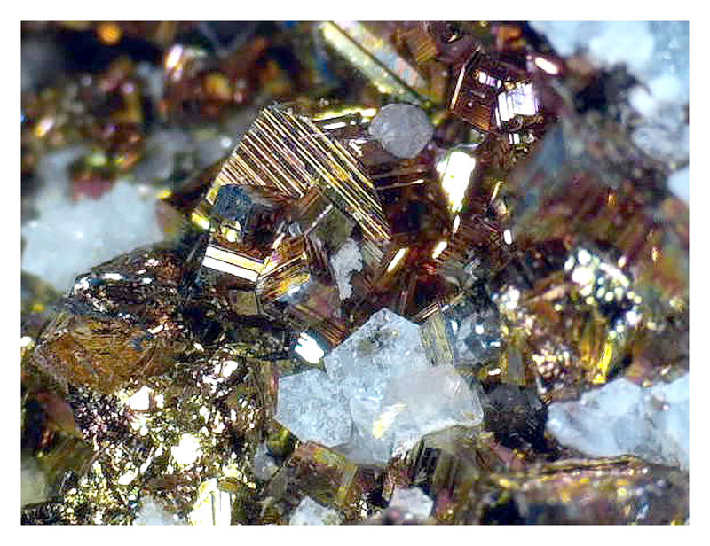 Animon Sphalerite Under the Scope 5.JPG