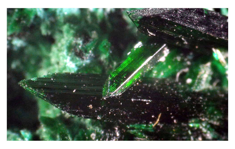 Another Brochantite Under the Microscope 2.jpg
