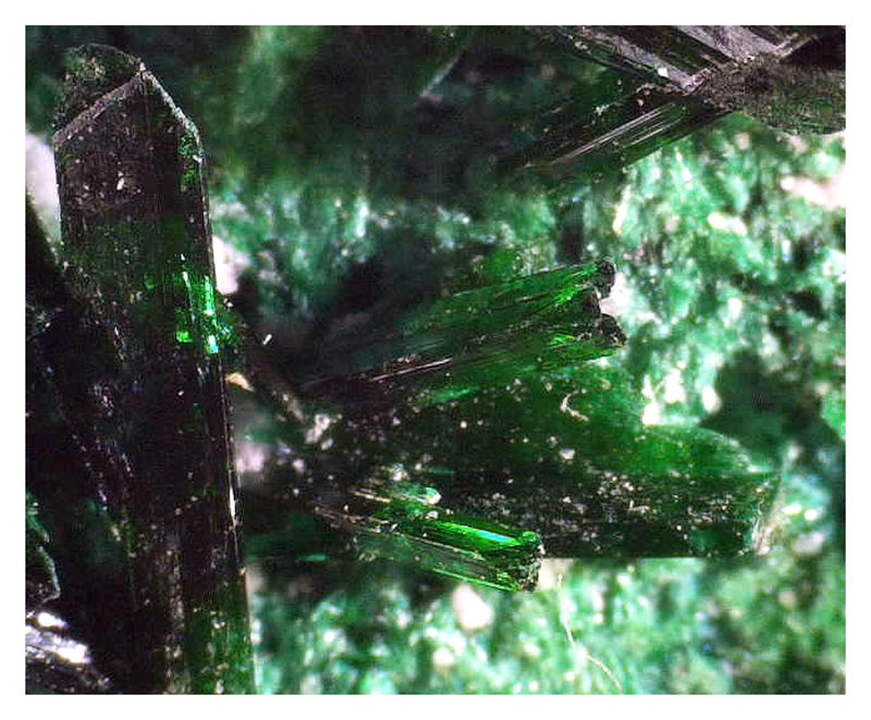 Another Brochantite Under the Microscope 3.jpg