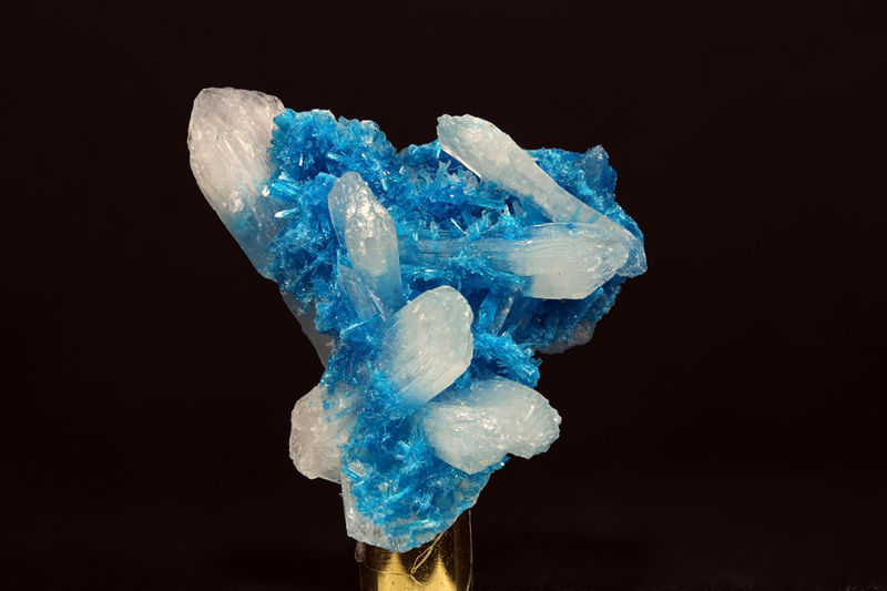 ApiladoH000212p_E41_80mm_0_53x.jpg