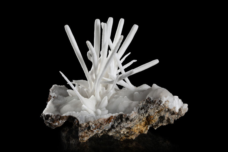 Aragonite (flos_ferri_variety)-MIM_Museum(1752).jpg