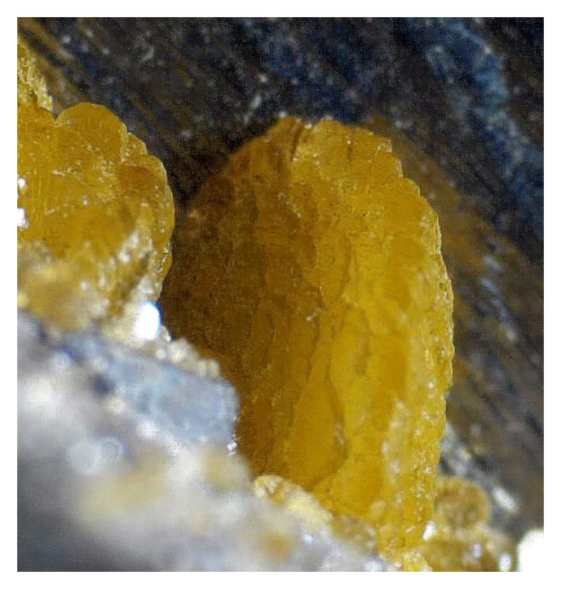 Arsenopyrite with Siderite - Under the Microscope 1.jpg