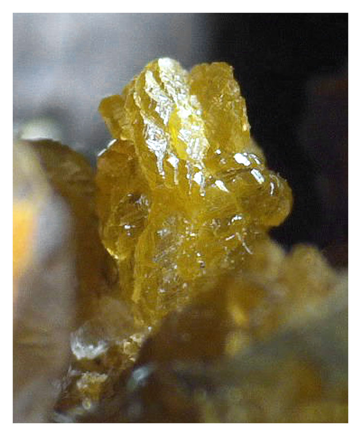 Arsenopyrite with Siderite - Under the Microscope 4.jpg