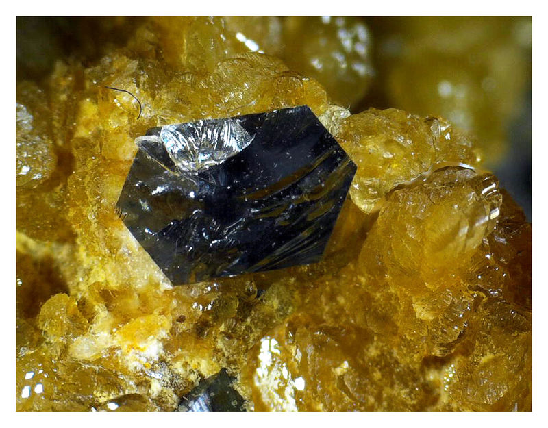Arsenopyrite with Siderite - Under the Microscope 5.jpg