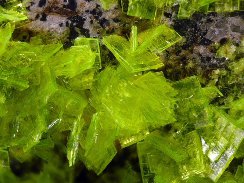 autunita 10 FOV 0.8cm.jpg