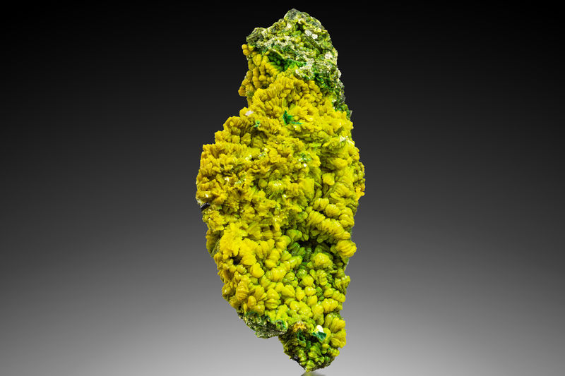 Autunite-MIM_Museum(1751).jpg