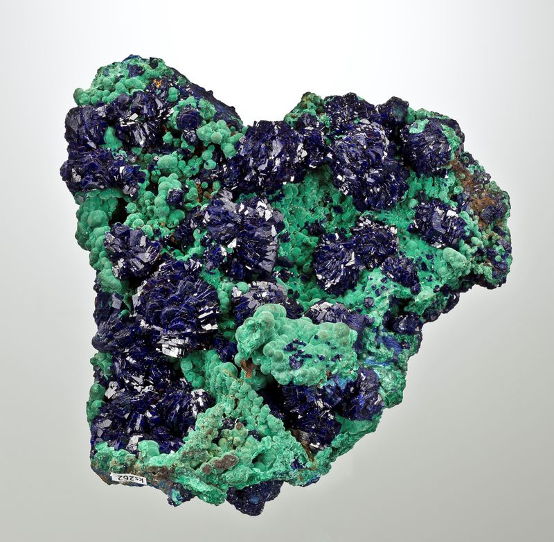 Azurite-Malachite-HolbrookMine-Arizona-105mm-106.jpg