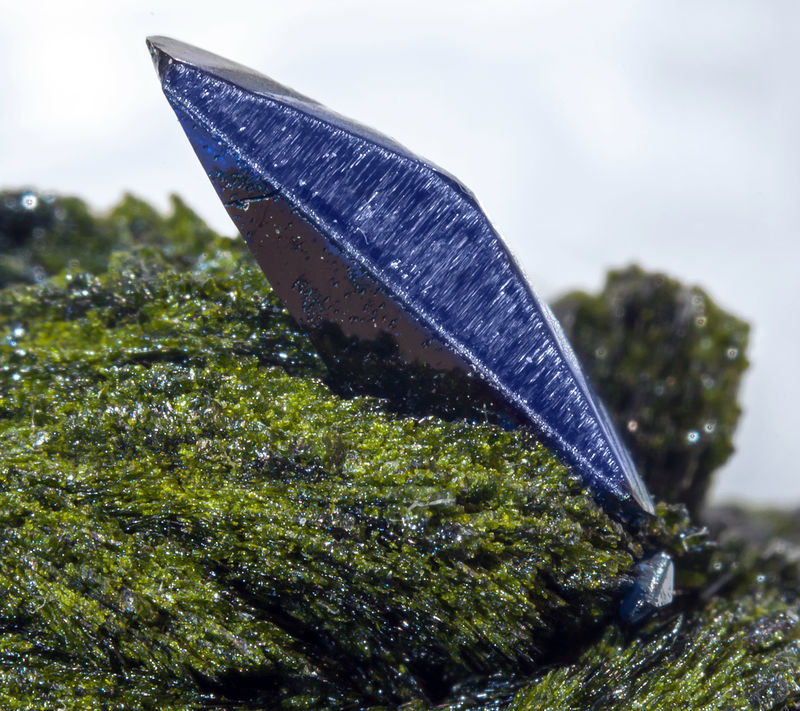 Azurite on Volborthite from Milpillas Mine_Sonora_Mexico.jpg