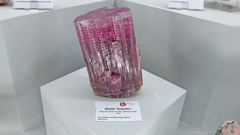 B-09-15.jpg