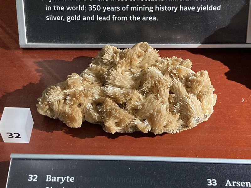 barite_ojuela_mapimi_mun_durango_mexico_125.jpg