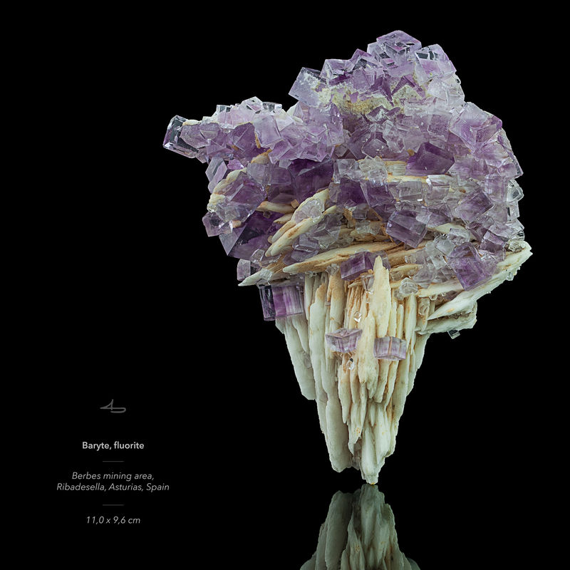 Baryte-fluorite-Berbes-Asturias-Spain-square-text.jpg
