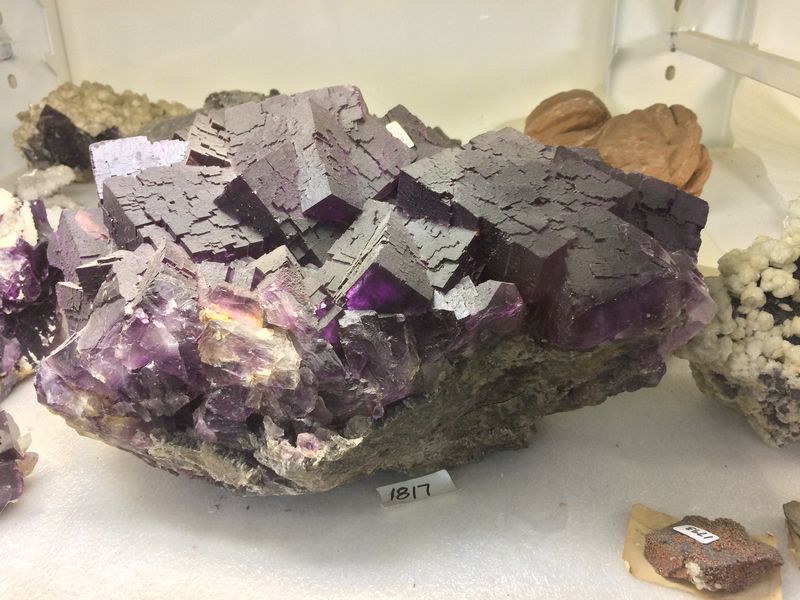 BCMM, Fluorite (15).JPG