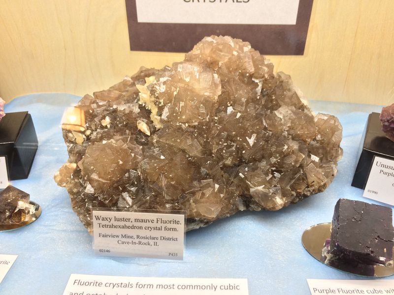 BCMM, Fluorite (23).JPG