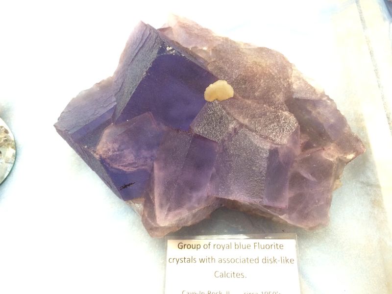 BCMM, Fluorite (26).JPG