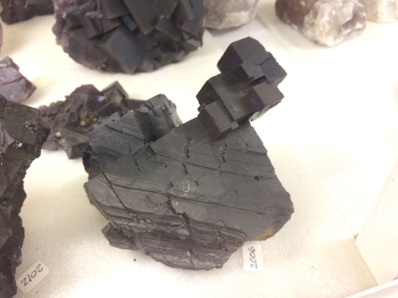 BCMM, Fluorite (2).JPG