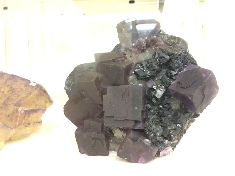 BCMM, Fluorite (4).JPG