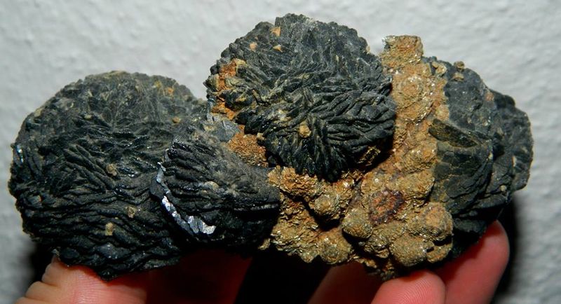 Black calcite with siderite - Herja, Romania.jpg