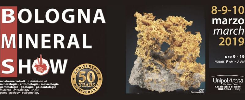 Bologna Mineral Show 2019.jpg