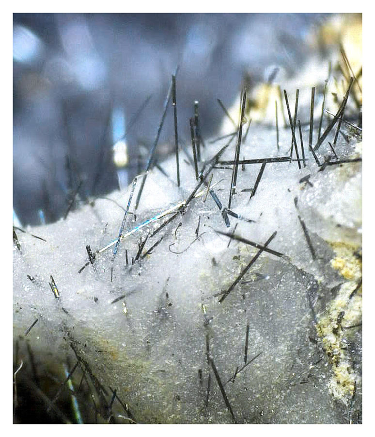 Boulangerite Under the Microscope 2 - IN QUARTZ.jpg
