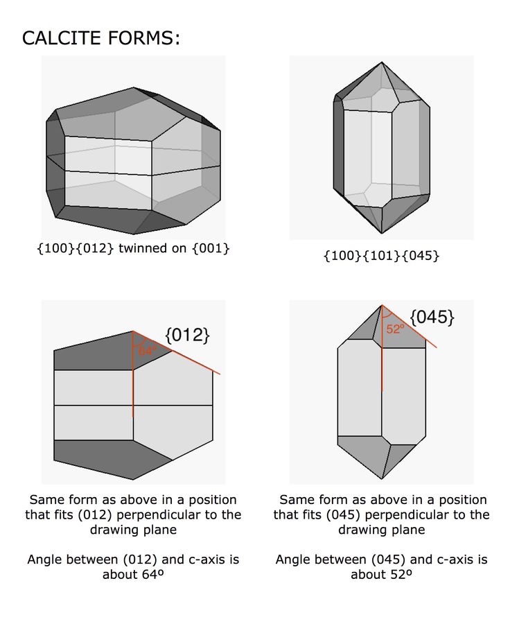 C_forms.jpg