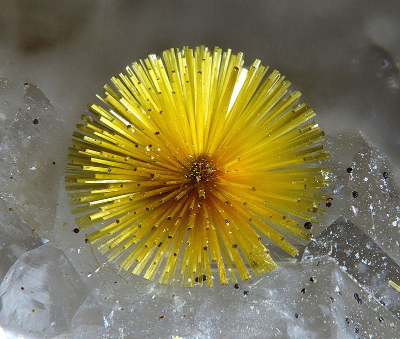 Cacoxenite La Paloma 1.4mm.jpg