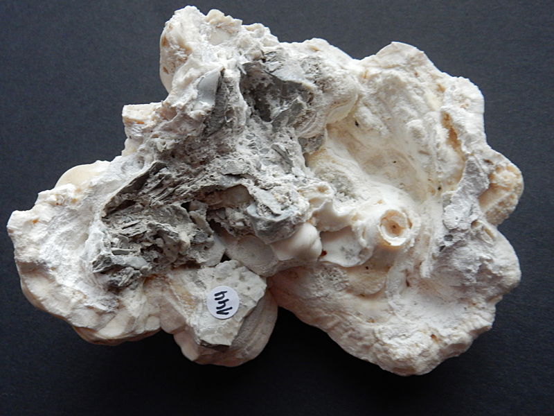 Calcite no 144 - FMF -2.JPG