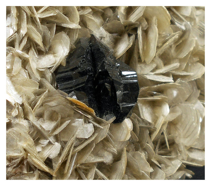 CASSITERITE TWIN 4 - CLOSE UP.jpg