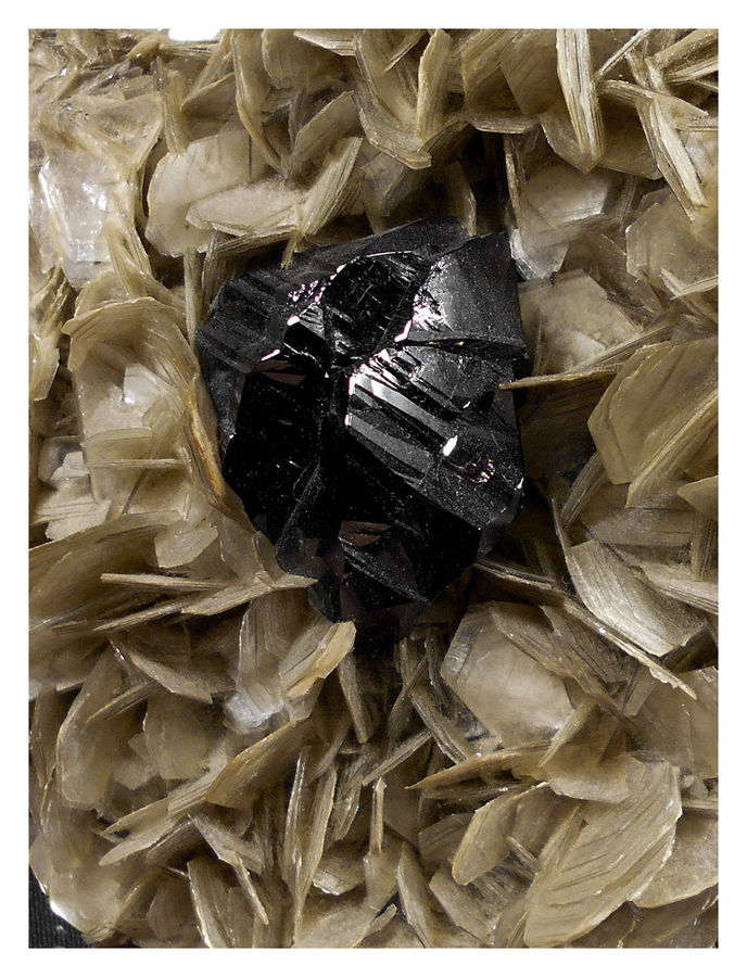 CASSITERITE TWIN 5 - CLOSE UP.jpg