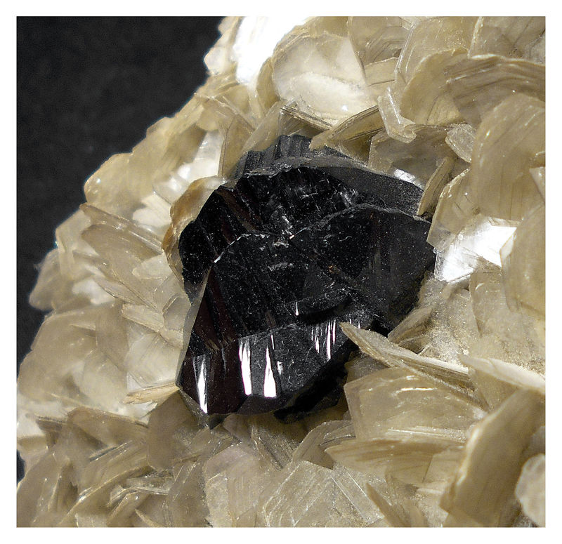 CASSITERITE TWIN 7 - CLOSE UP.jpg