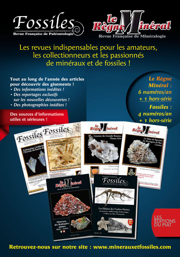 Catalogue Regne Mineral 1.jpg