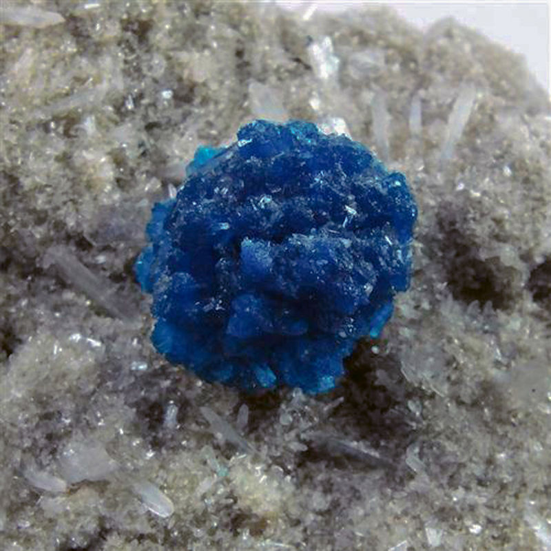 Cavansite on Stilbite.jpg