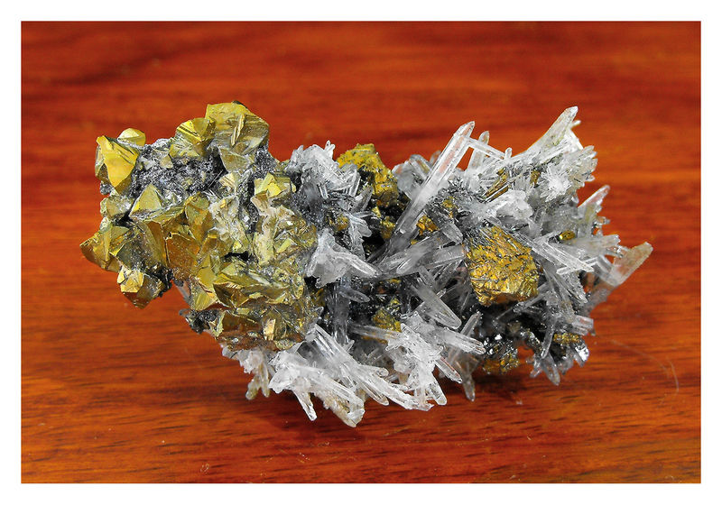 Chalcopyrite on Quartz 1.jpg