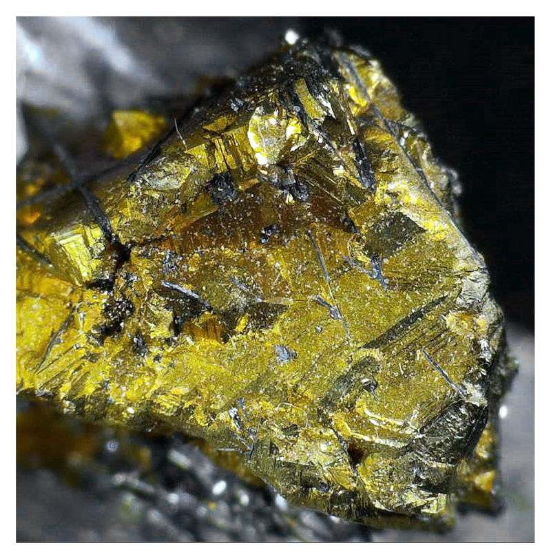 Chalcopyrite on Quartz - Under the Microscope 1.JPG