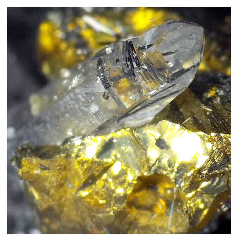 Chalcopyrite on Quartz - Under the Microscope 5.JPG