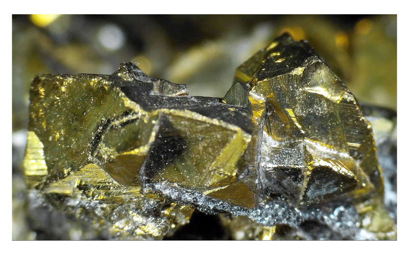Chalcopyrite on Quartz - Under the Microscope 6.JPG