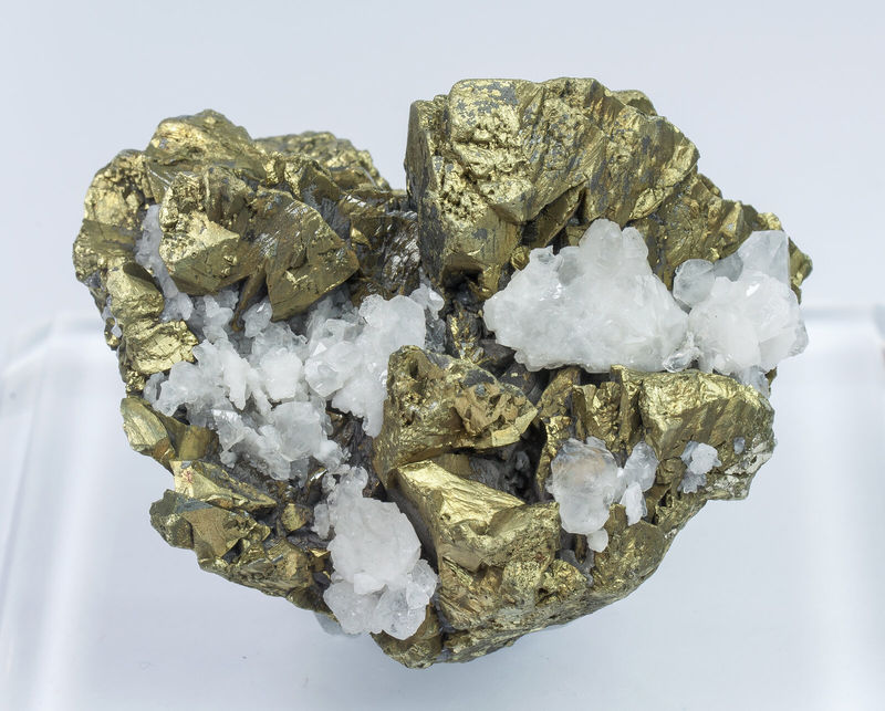 Chalcopyrite with Quartz - Mont-Roc Mine_Occitanie_France.jpg