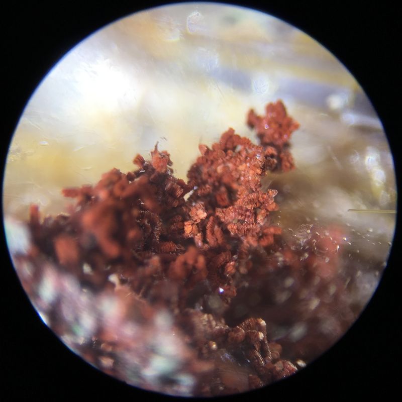 chlorite2.jpg