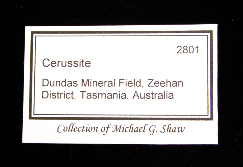 Collection label.jpg